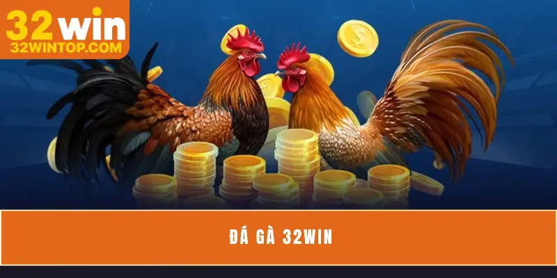 Đá Gà 32Win - Đấu Trường Chọi Gà Nổi Bật Hàng Đầu 2025