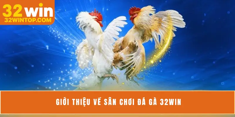 Giới thiệu về sân chơi đá gà 32Win
