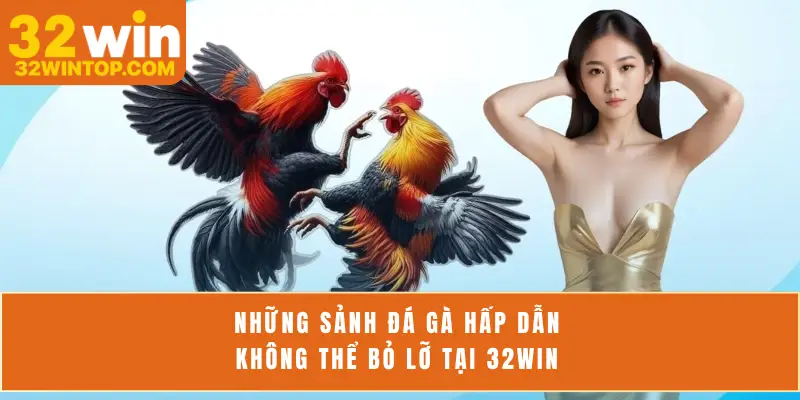 Những sảnh đá gà hấp dẫn không thể bỏ lỡ tại 32Win